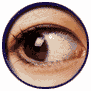 fort-lauderdale-florida-private-investigators FORT LAUDERDALE INVESTIGATORS, FT LAUDERDALE DETECTIVE SERVICES, FORT LAUDERDALE INVESTIGATIONS